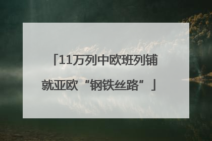 11万列中欧班列铺就亚欧“钢铁丝路”