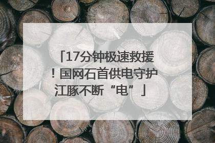 17分钟极速救援！国网石首供电守护江豚不断“电”