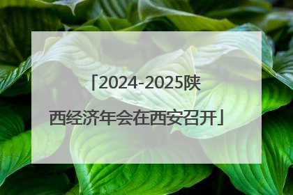 2024-2025陕西经济年会在西安召开