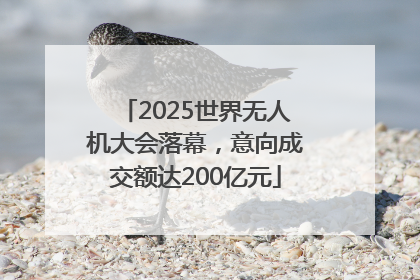 2025世界无人机大会落幕，意向成交额达200亿元