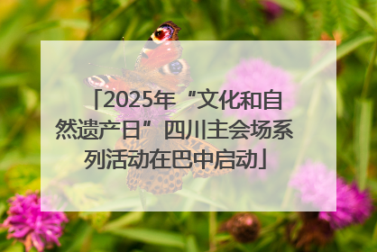 2025年“文化和自然遗产日”四川主会场系列活动在巴中启动