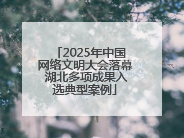 2025年中国网络文明大会落幕 湖北多项成果入选典型案例