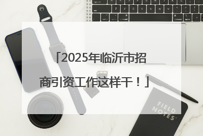 2025年临沂市招商引资工作这样干！