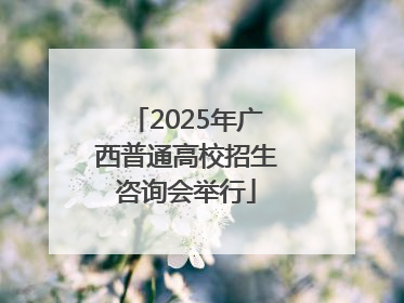 2025年广西普通高校招生咨询会举行