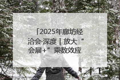 2025年廊坊经洽会·深度｜放大“会展+”乘数效应 打造消费新场景