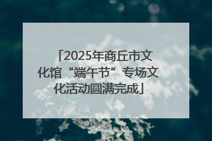 2025年商丘市文化馆“端午节”专场文化活动圆满完成