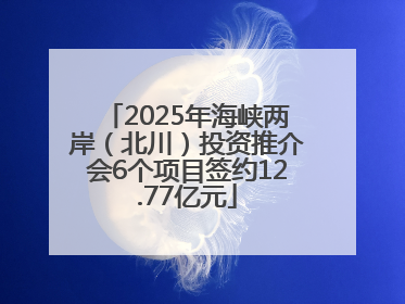 2025年海峡两岸（北川）投资推介会6个项目签约12.77亿元