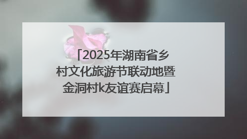 2025年湖南省乡村文化旅游节联动地暨金洞村k友谊赛启幕