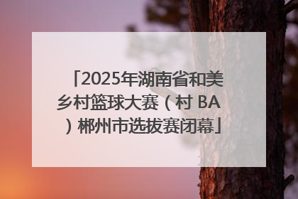 2025年湖南省和美乡村篮球大赛（村 BA）郴州市选拔赛闭幕