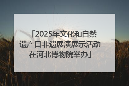 2025年文化和自然遗产日非遗展演展示活动在河北博物院举办