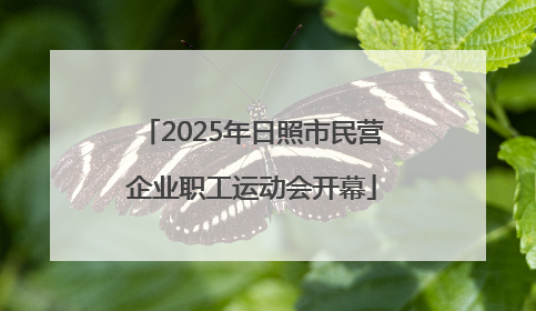 2025年日照市民营企业职工运动会开幕