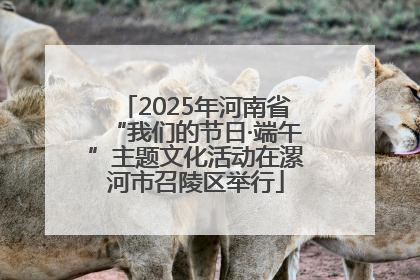 2025年河南省“我们的节日·端午”主题文化活动在漯河市召陵区举行