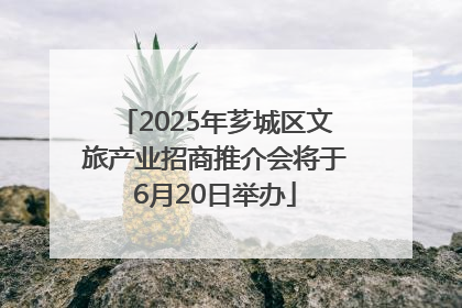 2025年芗城区文旅产业招商推介会将于6月20日举办