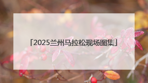 2025兰州马拉松现场图集