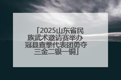 2025山东省民族武术邀请赛举办 冠县查拳代表团勇夺三金二银一铜