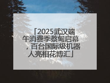 2025武汉端午消费季蔡甸启幕，百台国际级机器人亮相花博汇