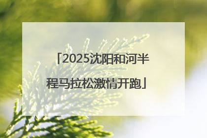 2025沈阳和河半程马拉松激情开跑