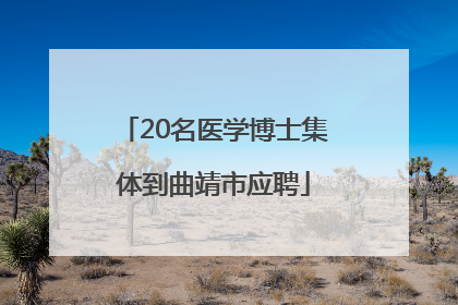 20名医学博士集体到曲靖市应聘