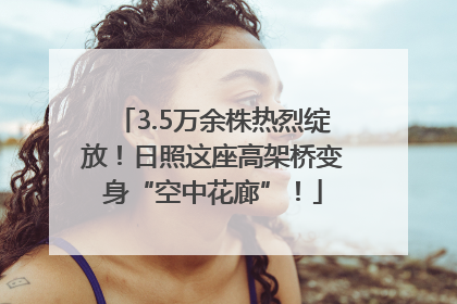 3.5万余株热烈绽放！日照这座高架桥变身“空中花廊”！