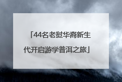 44名老挝华裔新生代开启游学普洱之旅