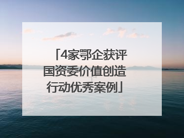 4家鄂企获评国资委价值创造行动优秀案例