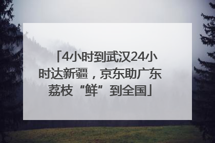 4小时到武汉24小时达新疆，京东助广东荔枝“鲜”到全国