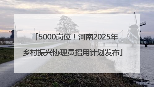 5000岗位！河南2025年乡村振兴协理员招用计划发布