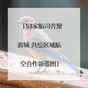 53家航司齐聚蓉城 共绘区域航空合作新蓝图