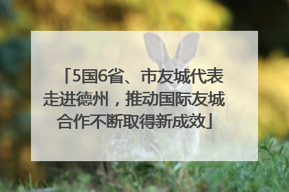 5国6省、市友城代表走进德州，推动国际友城合作不断取得新成效