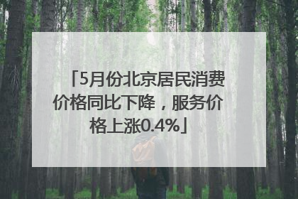 5月份北京居民消费价格同比下降，服务价格上涨0.4%