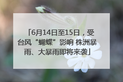 6月14日至15日，受台风“蝴蝶”影响 株洲暴雨、大暴雨即将来袭