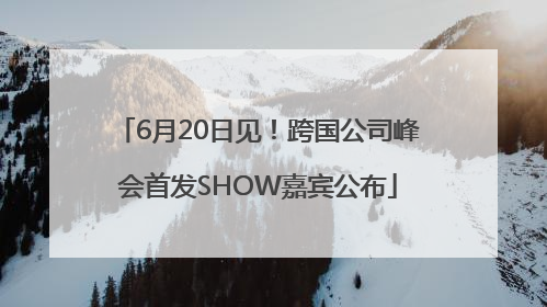 6月20日见！跨国公司峰会首发SHOW嘉宾公布