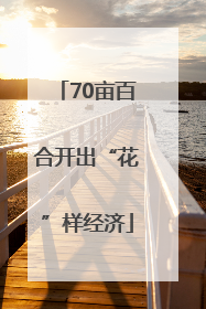 70亩百合开出“花”样经济