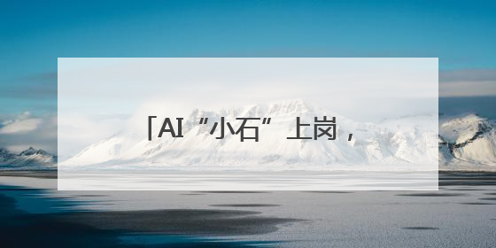 AI“小石”上岗，政务“边聊边办”