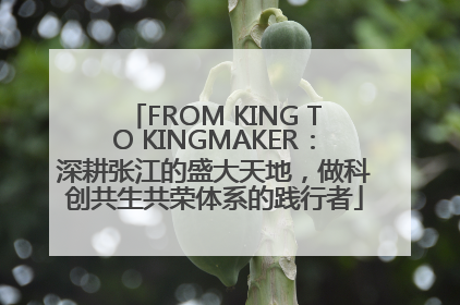 FROM KING TO KINGMAKER：深耕张江的盛大天地，做科创共生共荣体系的践行者