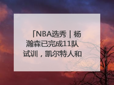 NBA选秀｜杨瀚森已完成11队试训，凯尔特人和太阳更适合他