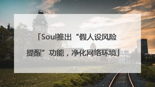 Soul推出“假人设风险提醒”功能，净化网络环境