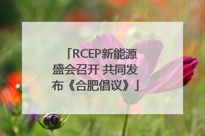 RCEP新能源盛会召开 共同发布《合肥倡议》